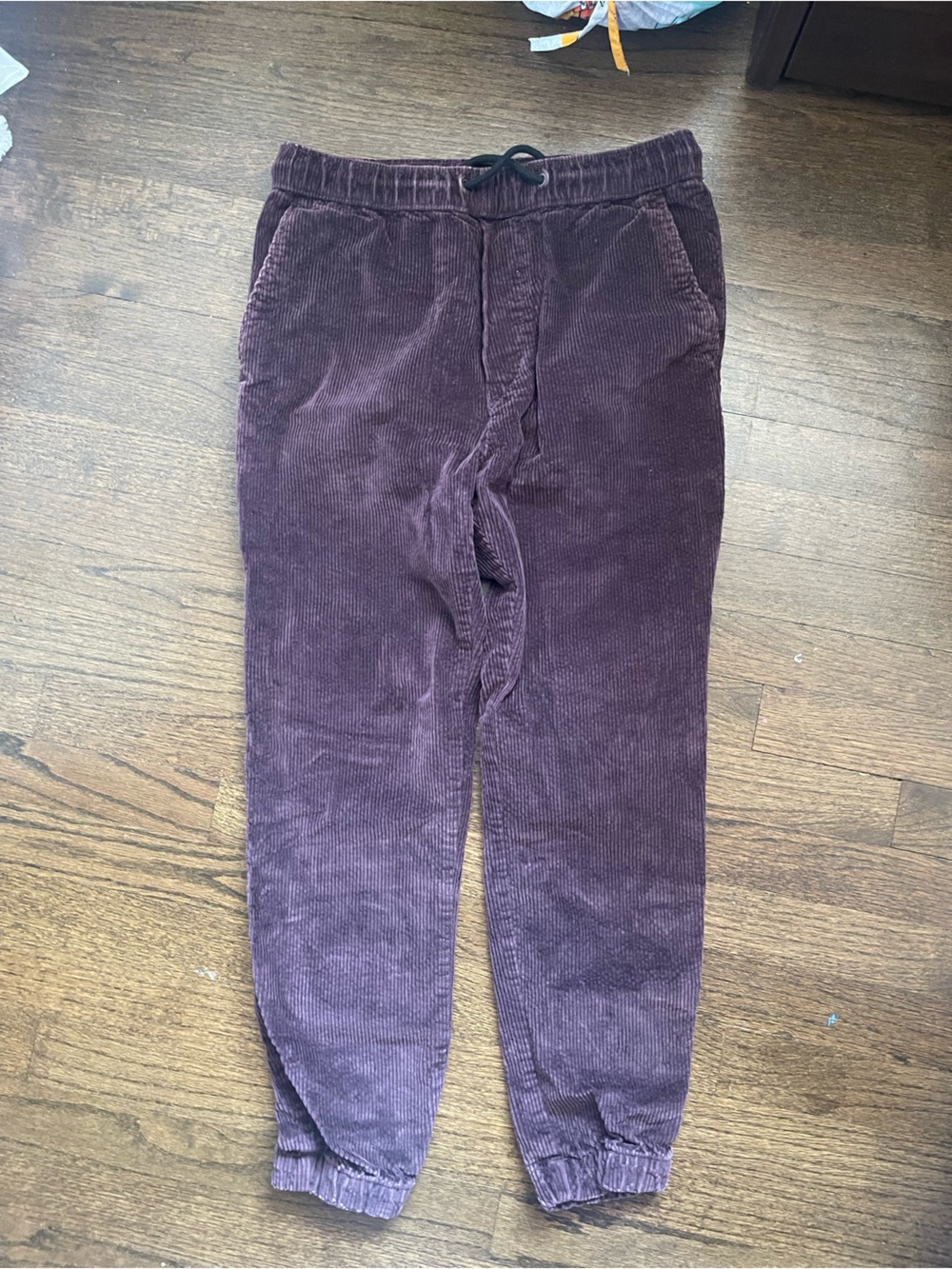 American Eagle Plum Corduroy Joggers
